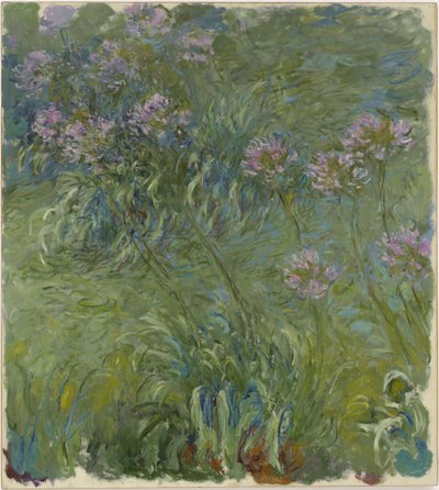 Agapantos de Claude Monet